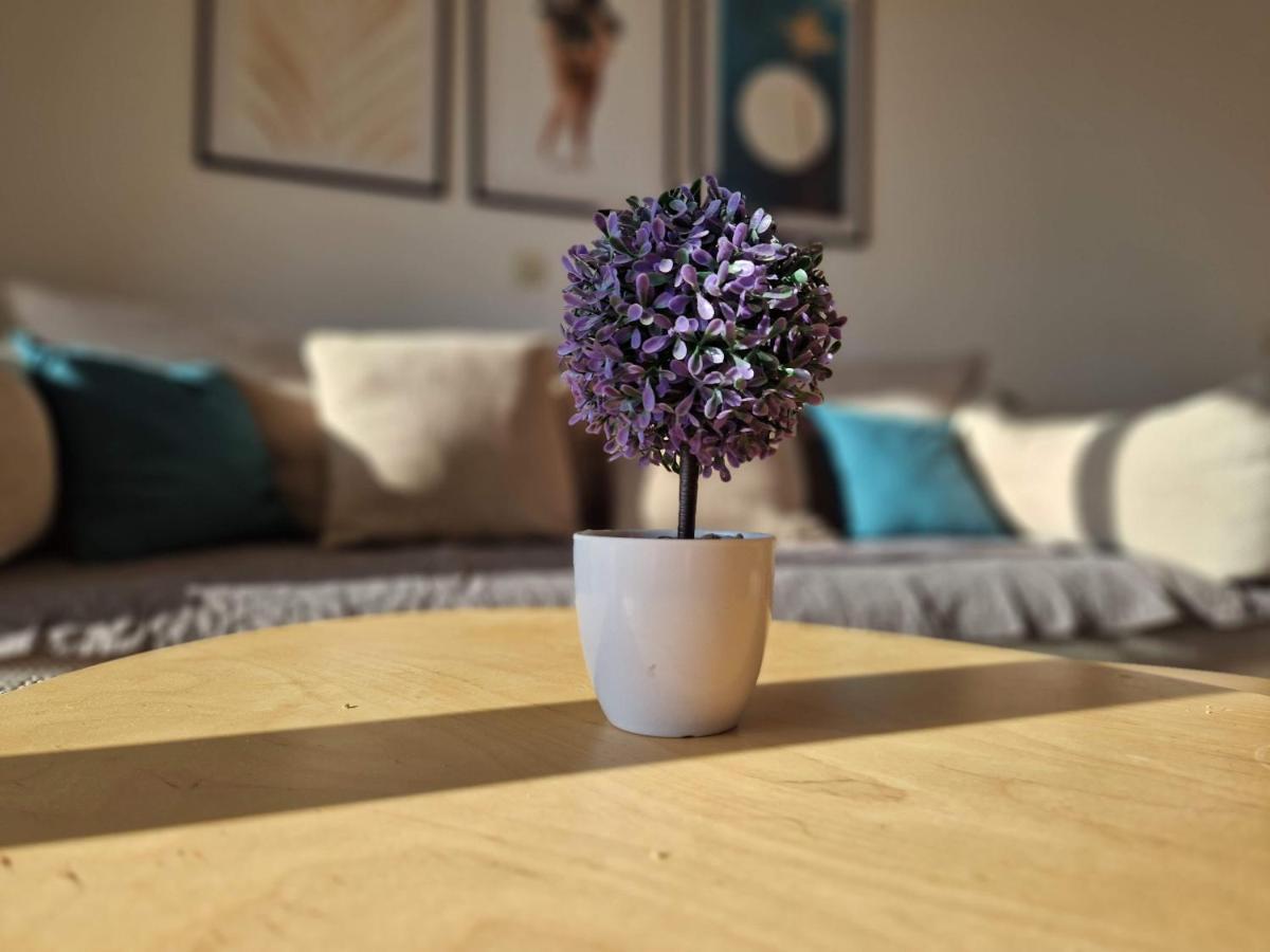 City Apartment Sanja ماكارسكا المظهر الخارجي الصورة